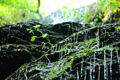 DSC_2832 (Large).JPG